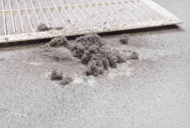 Best Ventilation Cleaning Services  in Spencer, WV